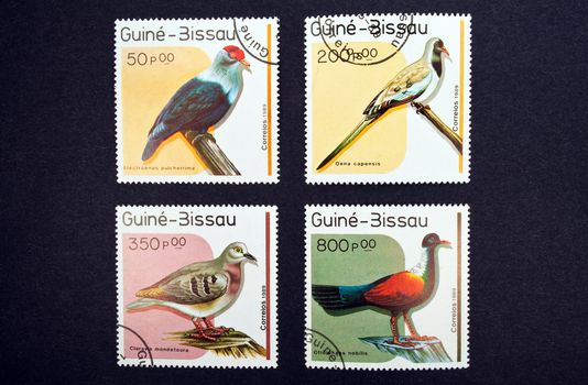 Collection of postage stamps displaying colorful birds.