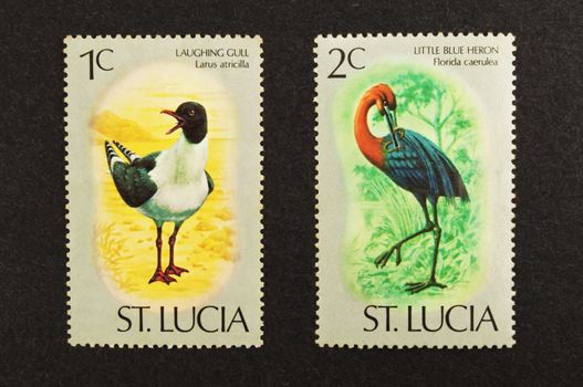 Collection of postage stamps displaying colorful birds.