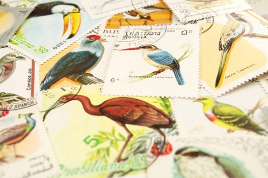 Collection of postage stamps displaying colorful birds.