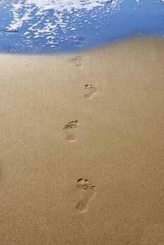 Footprints in send on a beach leading into water.