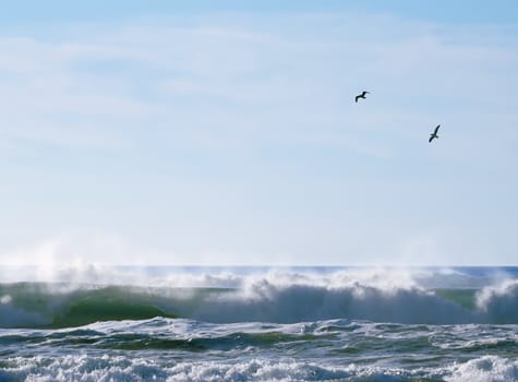 Pair of seagulls flying over breaking waves.