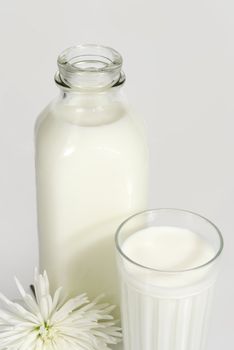 bottle and glass of milk with a white flower