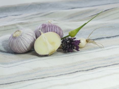 Purple Garlic 