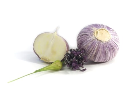 close-up of fresh purple garlic  isolated on white background