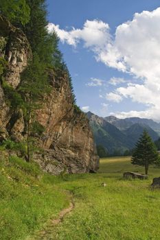 summer view of Pejo valley in Stelvio National Park, Trentino, Italy