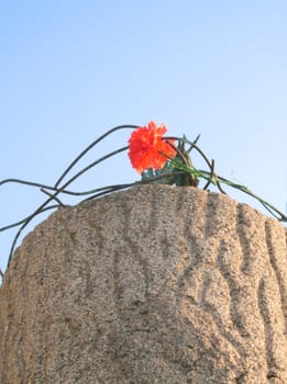 Flower in a wire on a stone pedestal