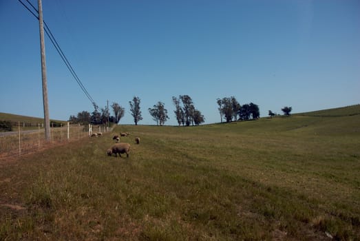 California Farm Country