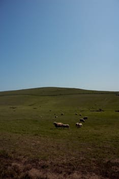 California Farm Country