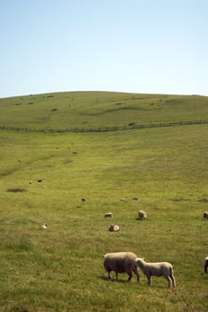 California Farm Country