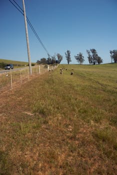 California Farm Country