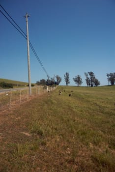 California Farm Country