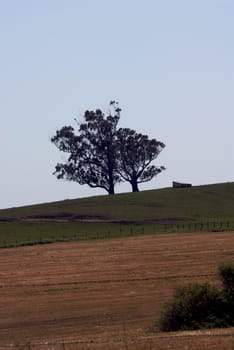 California Farm Country