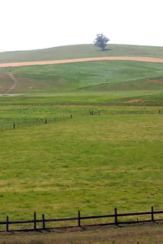 California Farm Country