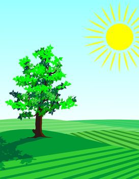four seasons illustration: springtime
single tree in the fields with fresh growing greenery