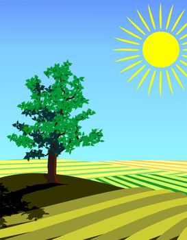 four seasons illustration: summer
single tree in the fields