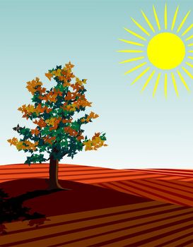 four seasons illustration: autumn
single tree in the fields at harvest time