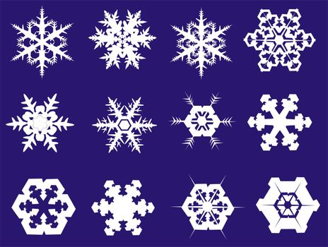 Snowflakes in twelve different shapes, illustration