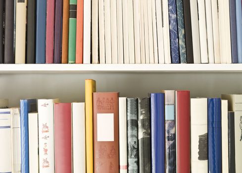 Bookshelf with several books