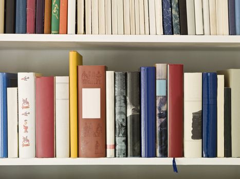Bookshelf with several books