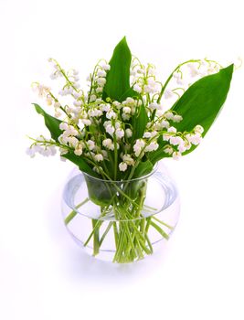 Lily of the valley in vase on white background. 