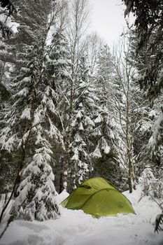 A tent in the forest during winter