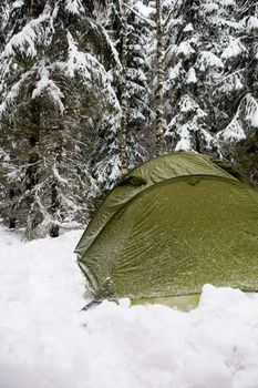 A tent in the forest during winter