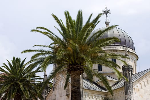 Chyrch and palm tree in Hertzeg-Novi, Montenegro