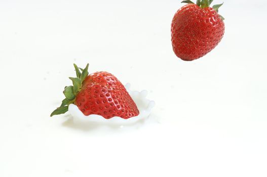 A couple of strawberries are falling into some milk, with one that has landed and is making a splash.