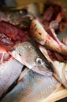 A detail image of fish freshly filleted