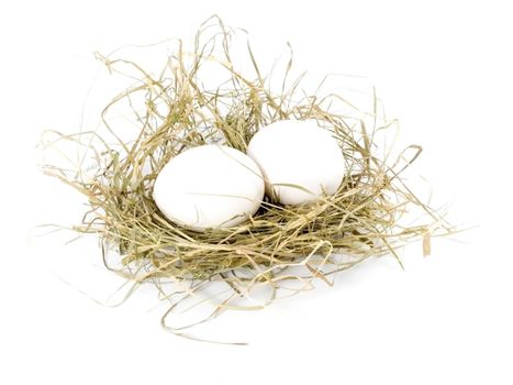 two eggs  in nest isolated on white background