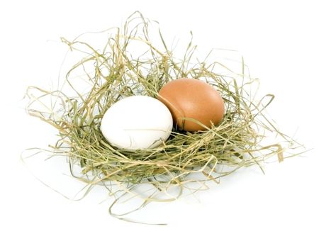 two eggs  in nest isolated on white background