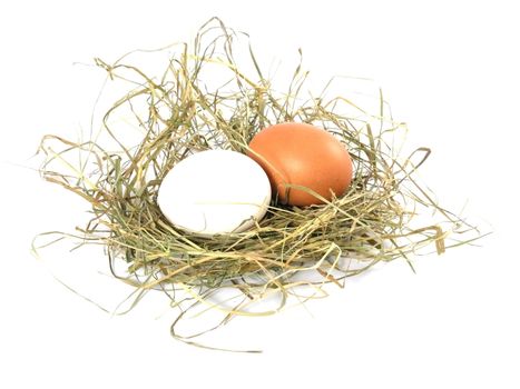 two eggs  in nest isolated on white background