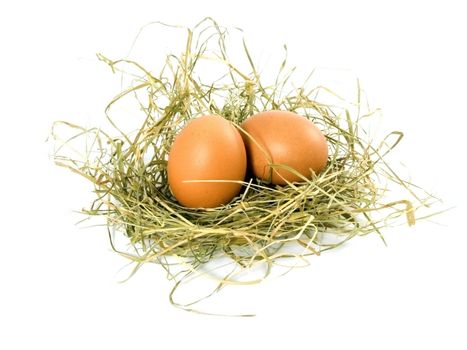 two eggs  in nest isolated on white background