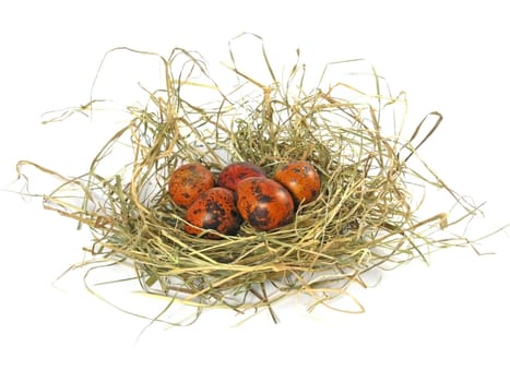 many eggs  in nest isolated on white background