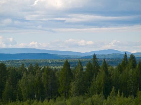 Landscape with Siberian forest and mountains