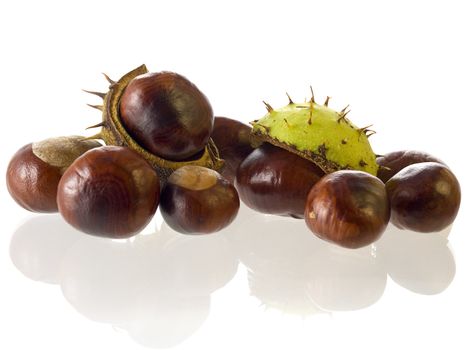 close-up of Chestnuts isolated on a white background