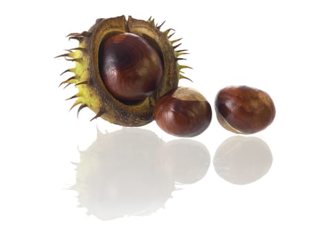 close-up of Chestnuts isolated on a white background