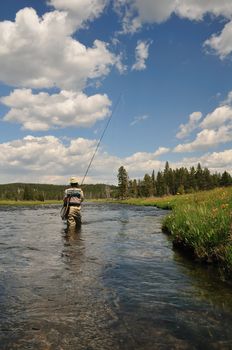 Active senior woman casting a fly-fishing rod in the Firehole River in Yellowstone Park.