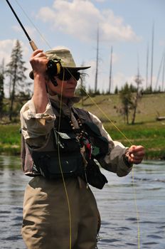 Active senior woman casting a fly-fishing rod in the Firehole River in Yellowstone Park.