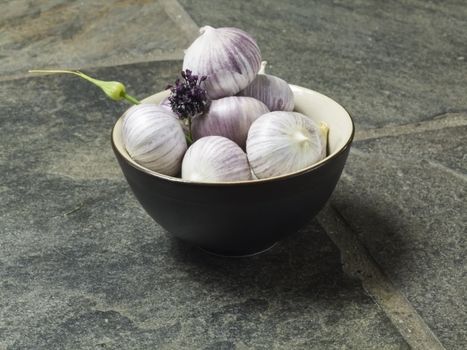 bowl full of fresh garlic on dark background