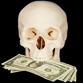 The skull clutched in teeth a bunch of money on a black background