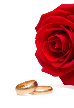 wedding rings and rose on white background. Isolation