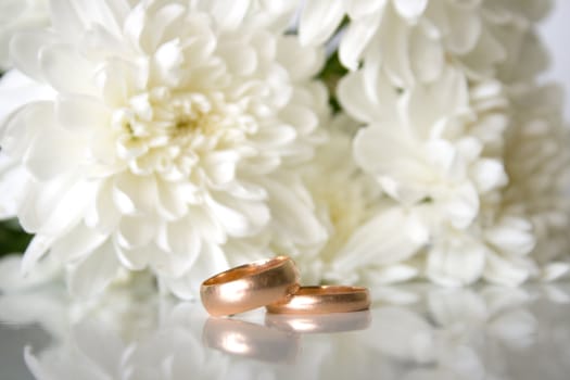 wedding rings and white chrysanthemumon on a grey background. Shallow DOF