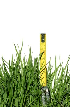 Green grass and tape measure isolated on white with clipping path