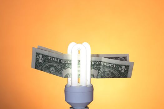 Energy saving compact fluorescent lightbulb and one dollar note on ginger background