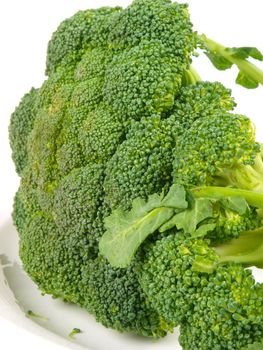 Fresh Broccoli