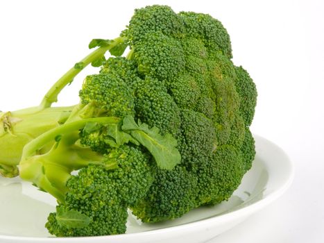 Fresh Broccoli