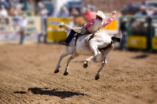 A saddle bronc rider at a local rodeo