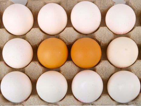 Fresh yellow and white eggs