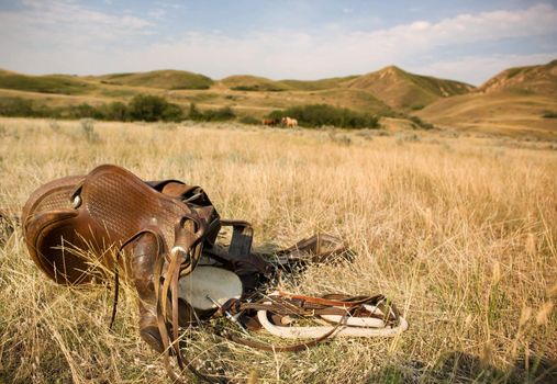 A western saddle laying on the prairie grassland with horses and rolling hills in the background